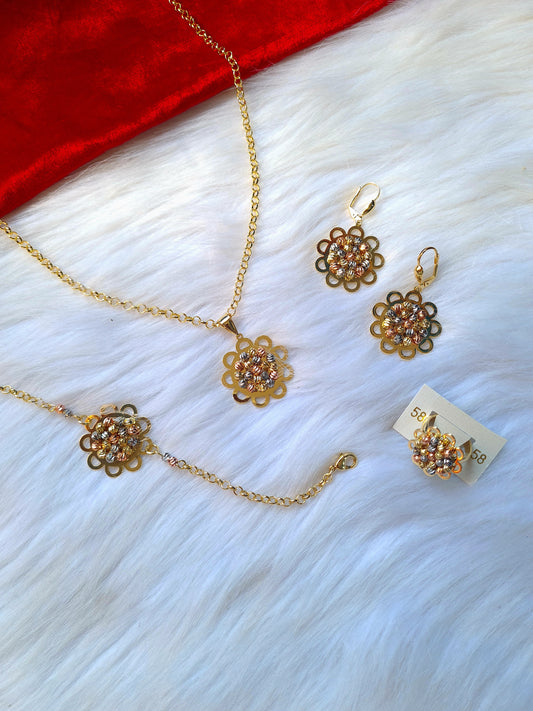 pareur acier inoxydable #F10