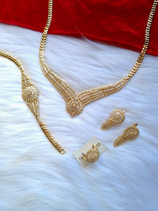 pareur acier inoxydable haut gamme zerconia