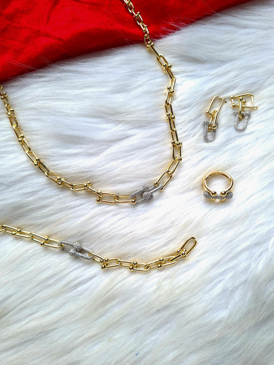 pareur inoxydable تيفاني #T